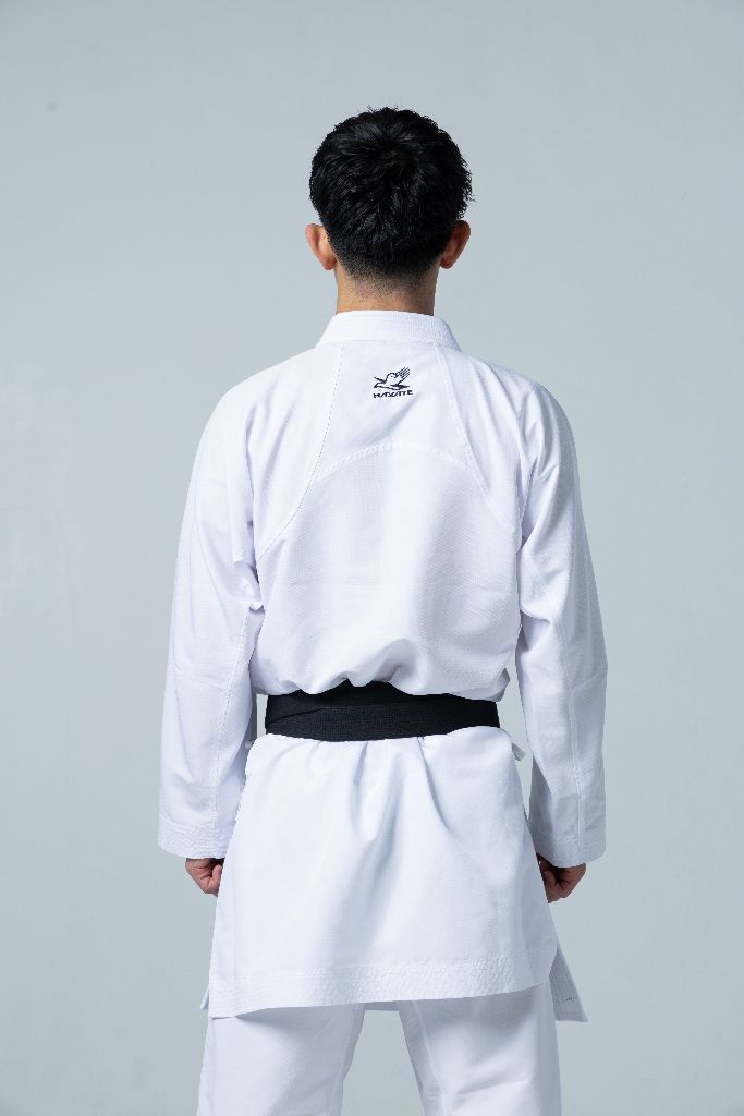 AIRIZE ARMOR PRO